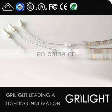 Ip67 Waterproof Smd3528 Customized Led Strip With 2 Pin Jst Connector Cable