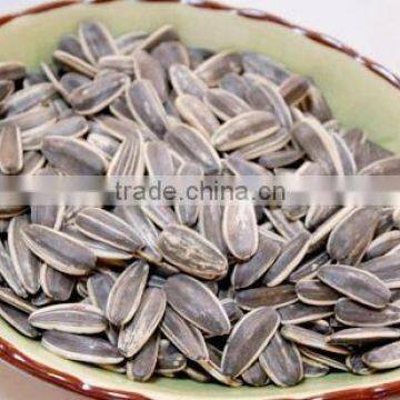 High quality unsalted roasted sunflower seeds