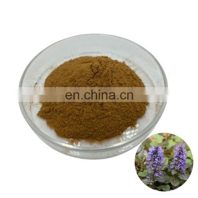 100% Natural Ajuga Turkestanica Extract Powder Turkesterone 10% Pure Extract Powder