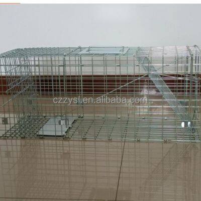 Double Door Entry Collapsible Animal Trap Cage Possum Cat Folding Live Animal Cage Trap photo-6