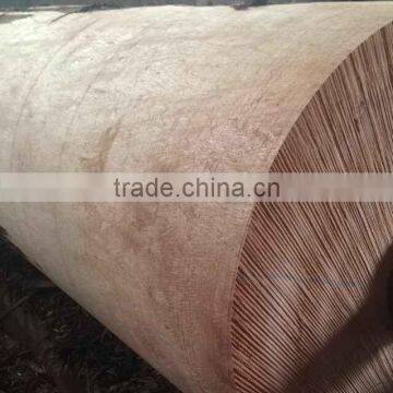 0.22-0.35mm Plywood Face Bintangor Wood Veneer photo-5