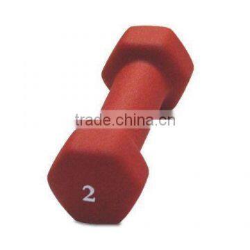 2014 newest plastic dumbbell