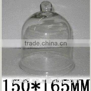 Glass cloche dome