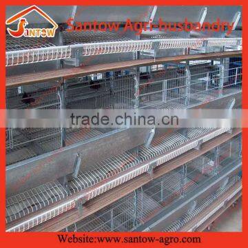 Stable steel structure professional chicken egg layer cage chicken egg layer house