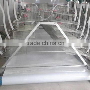 chicken manure conveyor belts