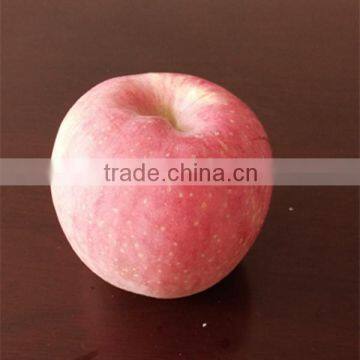 China Fresh Sweet Fuji Apple Red Apple