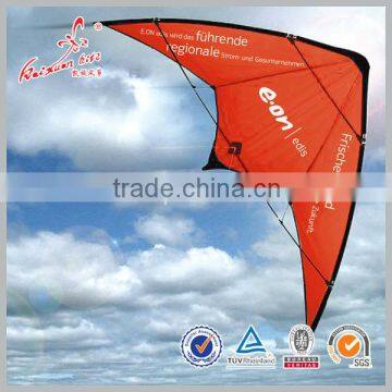 Dual line stunt kite