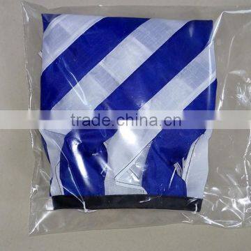 Decorative Striped Windsocks From Weifang Kite Factory photo-6