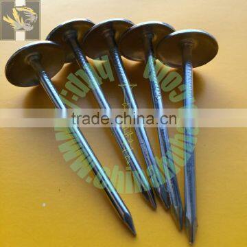 big umbrella head twisted shank galvanized roofing nail