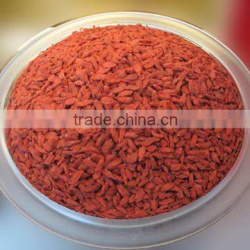 Ning Xia Manufacturer Goji Berries Dried Fruit photo-2