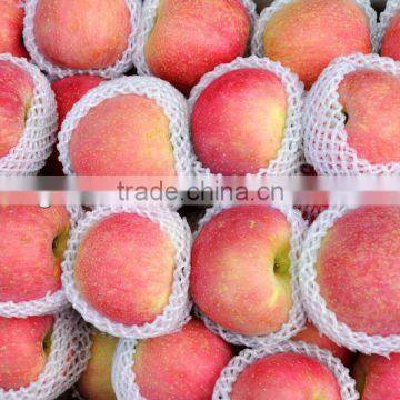 100-125 big size chinese fuji apples