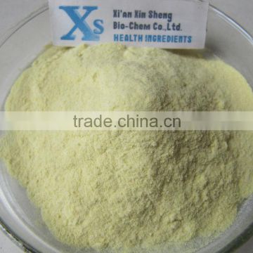 Natural Piper methysticum Extract/Kava Kava Root Extract/Kava root Extract Powder