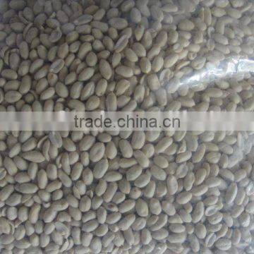 Blanched Groundnut Kernels