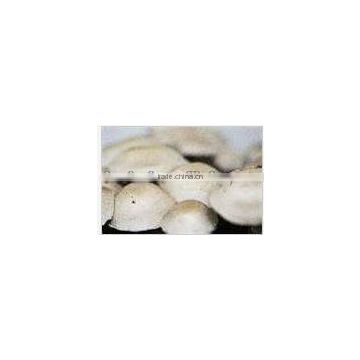 Natural White Button Mushroom Extract Powder-Jory