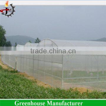 Galvanized pipe structure Pest control greenhouse