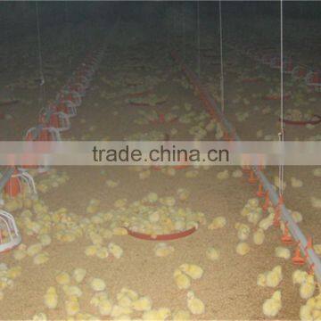 Poultry Farm Design Layout Automatic Broiler Feeding System Agricultural Equipment for Chicken House/Shed/Coop/Hangar/Barn