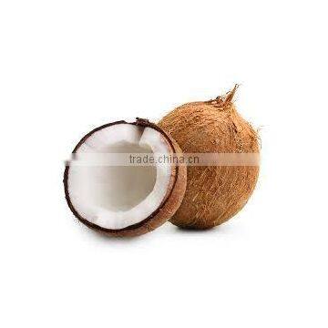 VIETNAM COCONUT - KeGo Co., Ltd photo-2