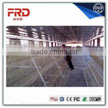 Trade assurance 100% payment guarantee factory good quality cages for growing broiler