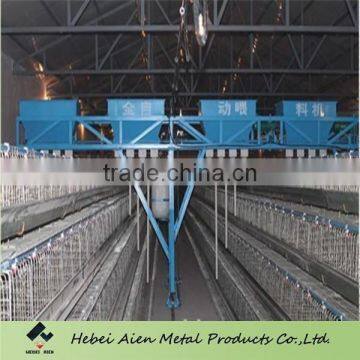 automatic chciken breeding machine manufacturer