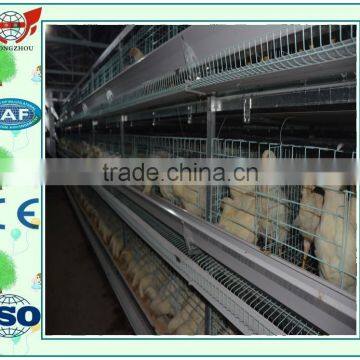 A type/H type /layer/broiler chicken cage