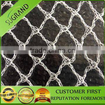 Well selling Anti-bird net professional bird net protect net
