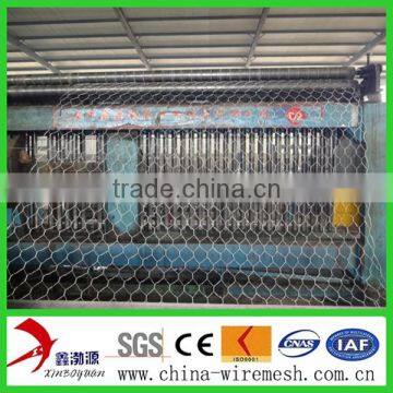 Hexagonal Wire Mesh/chicken Wire Mesh for Cultivation photo-4