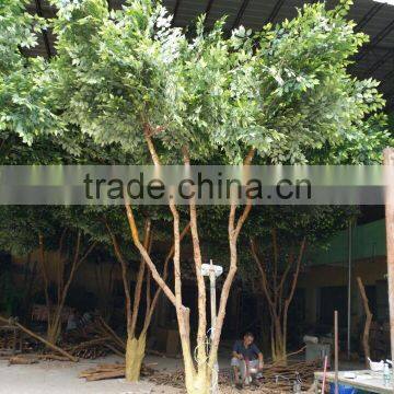SJ Artificial Banyan Tree With PE Leaves Decoration photo-3