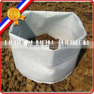 Tree root control bags