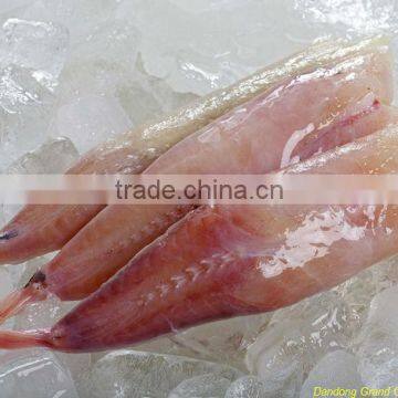 IQF wild monkfish tail (Lophius Litulon)