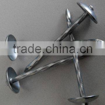 Galvanized Roofing Nails/umbrella Roofing Nails/roofing Nails With Washer photo-4