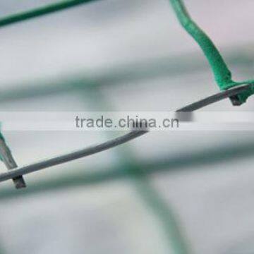China Supplier Welded Wire Mesh photo-2