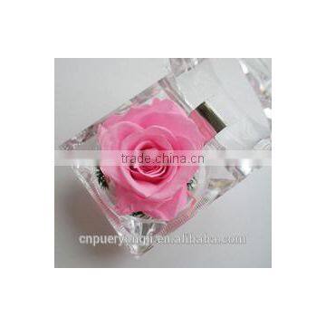 Hot Sale Long Lasting Preserved Flower Ring Box For Valentine's Day Gift