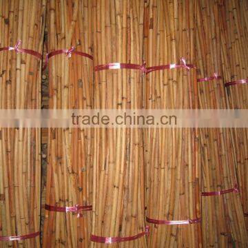 Red Water Rattan Cane photo-2