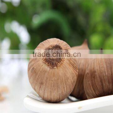 HALAL fermention food solo black garlic helping in adjusting blood pressure --HC Company