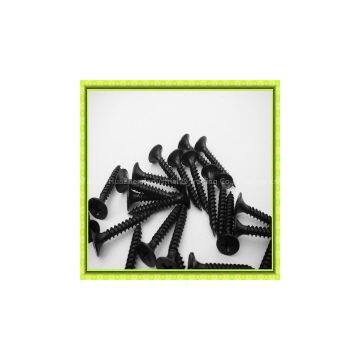philips drywall screw coarse thread for wood