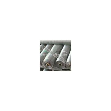 Window screen