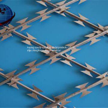 Galvanized Razor Barbed Wire Concertina Wire Coil photo-4