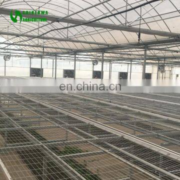 High Quality Wholesale Plant Nursery With Low Cost