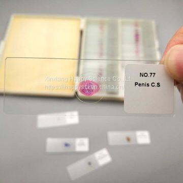 Lab and Medical Pathology Histology Microscope Slides photo-3