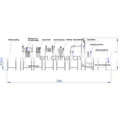 Plastic Bottle Filling Sealing Capping Packaging Line