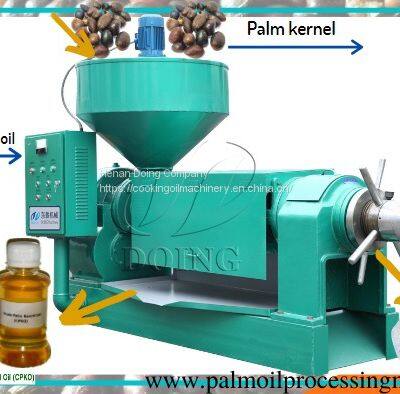 Palm kernel oil expeller machine