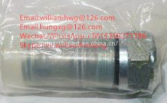 Sany Valve B220401000542 B220401000541 B220401000544 B220401000540 67301761 AB20205001862