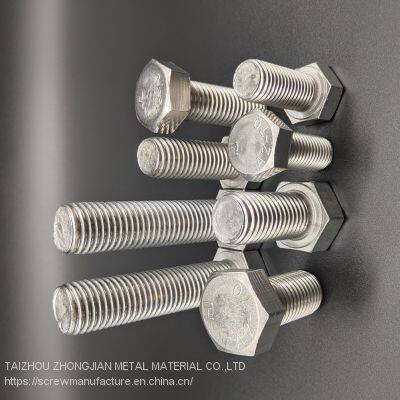Stainless Steel Hex Bolt M6*160