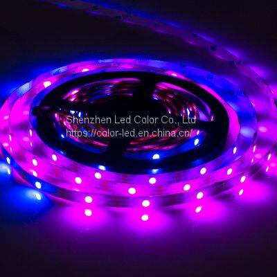 Promotion Sk6812 Rgbw Led Strip LC8812B 30 Leds Color Changing photo-5