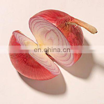 Professional Automatic 300kg/h Onion Peeler Machine photo-5