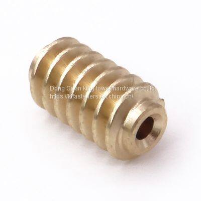 Custom Drawing Brass Worm Gear Wheel Small Worm Electric Motor