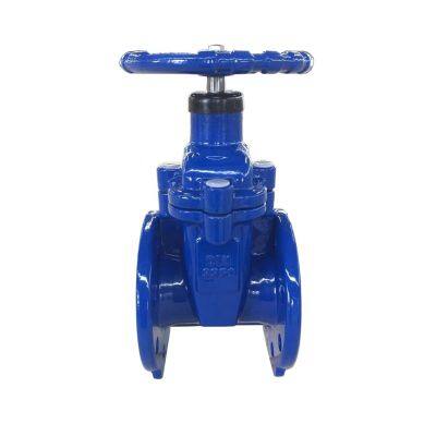 Trending Products DIN Soft Seat GG25 GGG40 DN100 F4 NRS Gate Valve Lighter Type Resilient Gate Valve photo-6