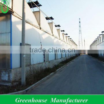 Uv Treated Plastic Film Greenhouse