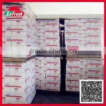 Tinned and Plastic Packed Canned Tomato Ketchup photo-2