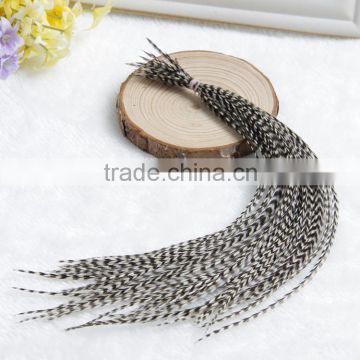 Factory Wholesale Whiting Rooster Feathers Rooster Tail Feathers Feathers For Sale Cheap Long Rooster Feathers Good Quality